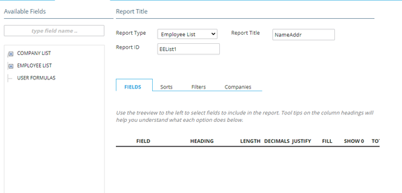 Basic Report Writer setup screen